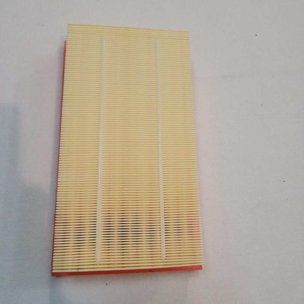 ya 23 10.7 baidi Air filter for Range Rover Executive L461 3.0T-