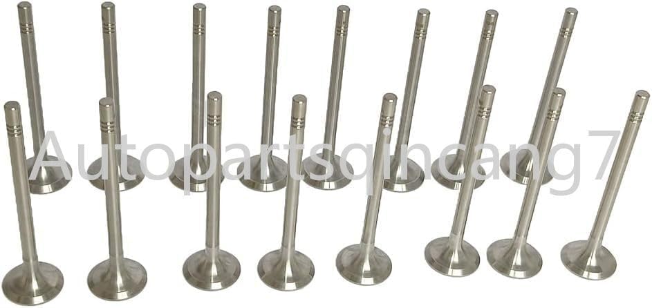 ya 10 9.16 baidi &Intake Valves Fit for VW for Golf for JETTA Pasast for Audi Q3 Q5 TT