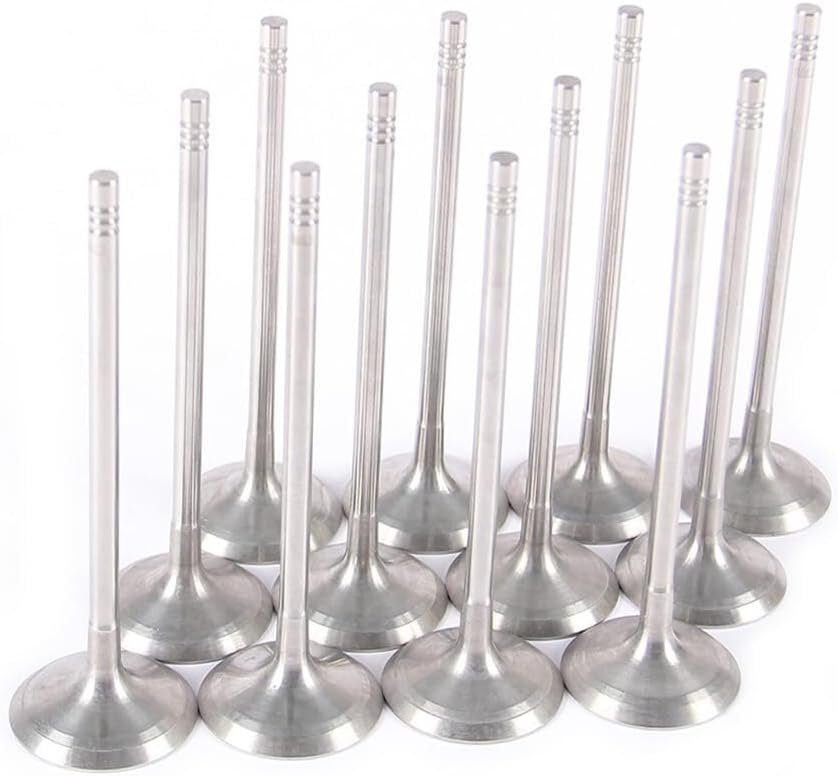 ya 10 9.16 baidi 2.5 Intake Valve Kit Fit for BMW 325i 523i 525i 2.5si X3 Z4 11347539919