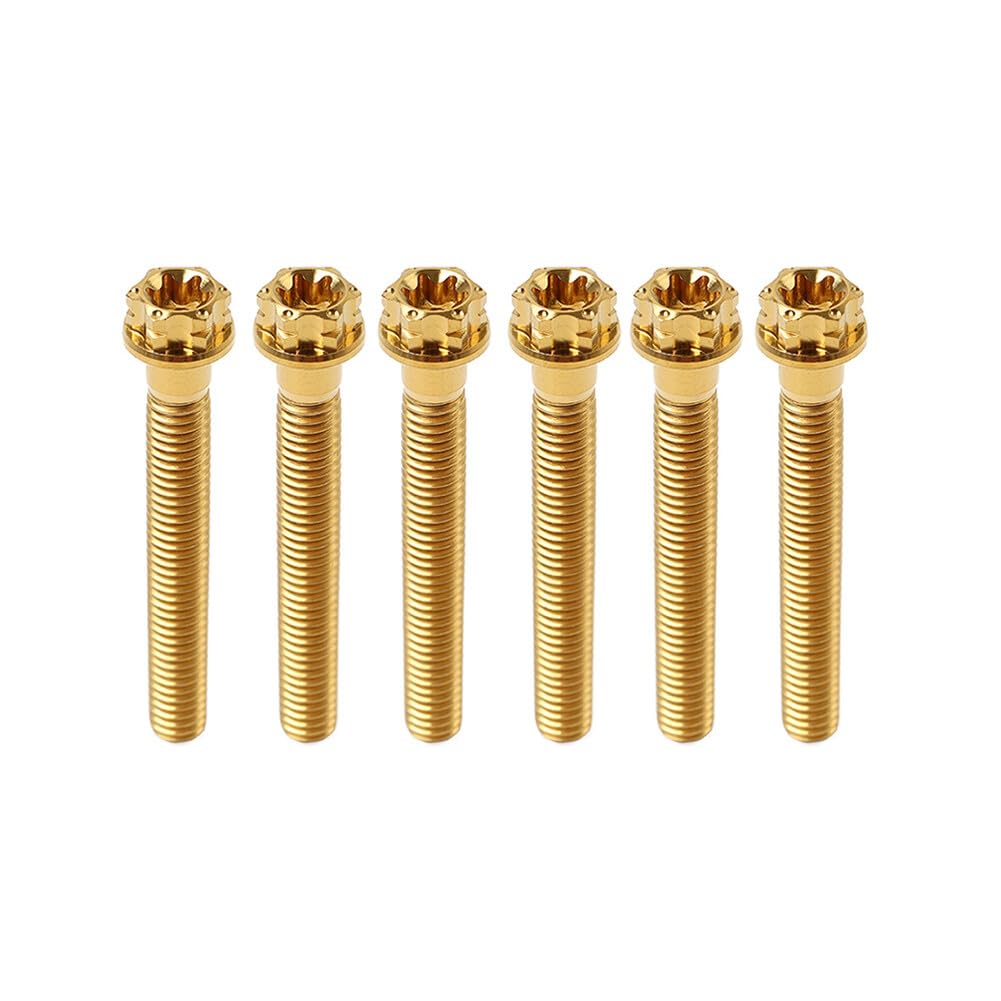ya 9 10.24 6pcs Bolts Torx Head Flange Screws M10x60mm Gold for Motorcycle Bike