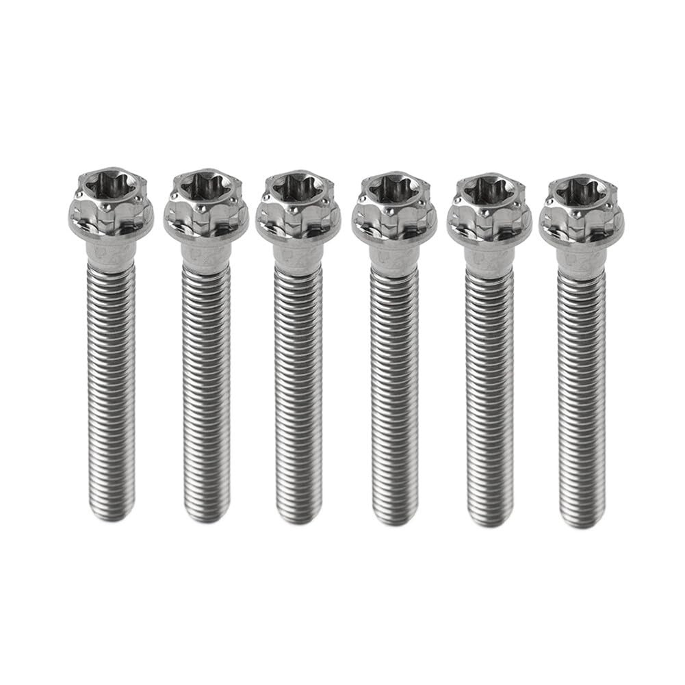 ya 9 10.24 6pcs Bolts Torx Head Flange Screws M10x55mm for Motorcycle Bike Silver