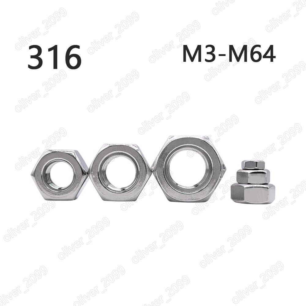 316 Stainless Steel DIN934 Hexagon Nuts Hex Nuts M3 M4 M5 M6 M8 M10 M12 M14 M64