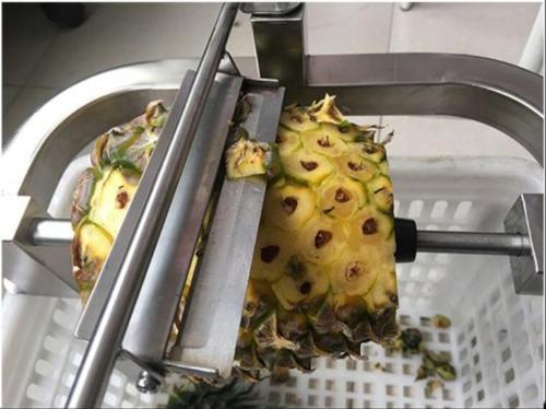 ya 26 Stainless Steel Pineapple Skin Peeler Pineapple Peeling tool O