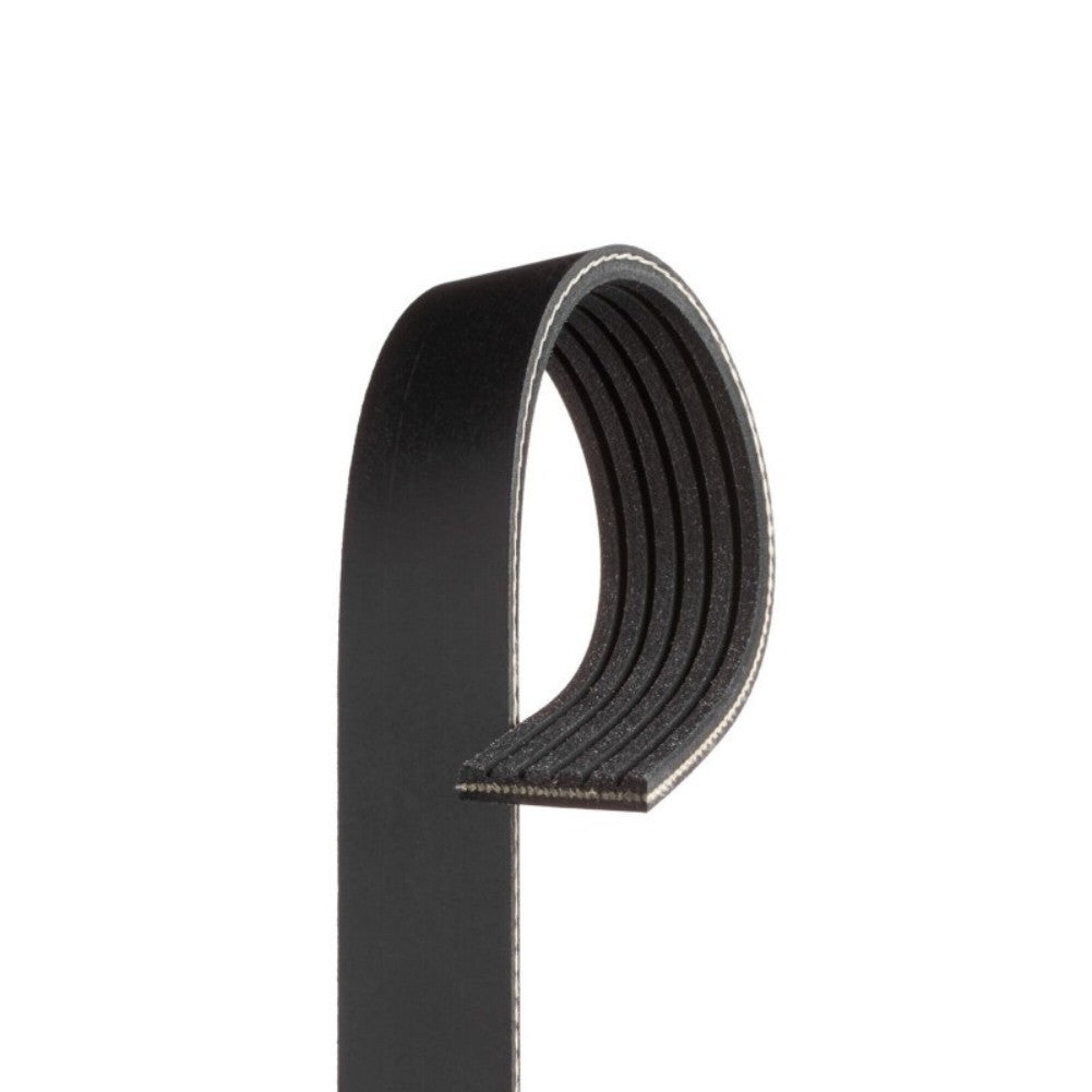 ya 5 8.7 Serpentine Belt for Cadillac CTS 04-05