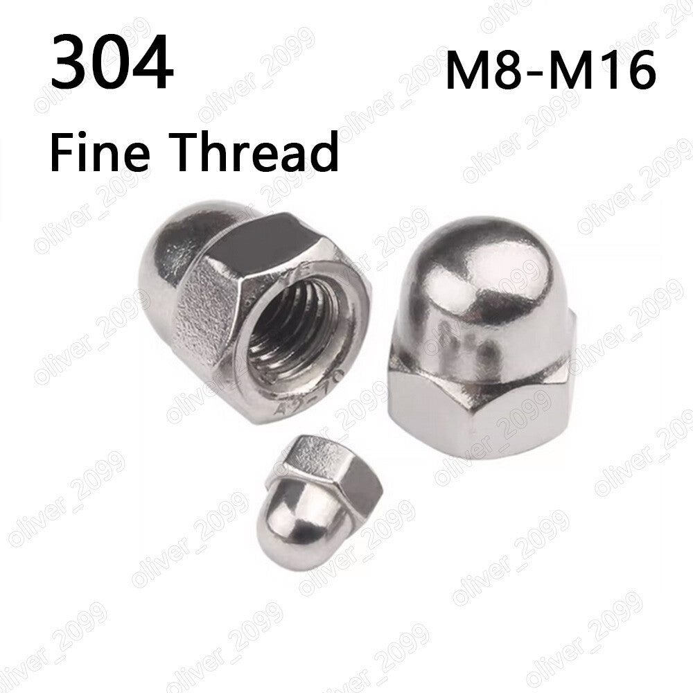 Fine Thread 304 Stainless Steel Hex Cap Nuts Hex Acorn Nuts M8 M10 M12 M14 M16