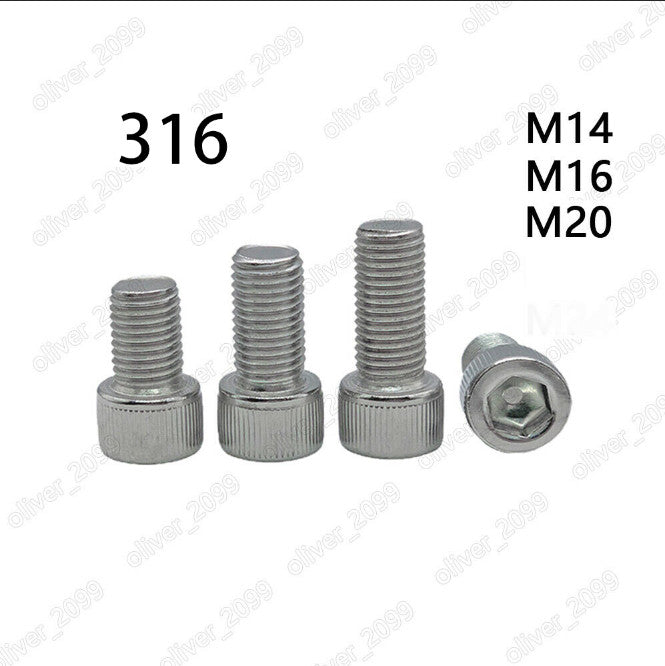 316 Stainless Steel DIN912 Hex Socket Bolts Cap Head Screws M14 M16 M20
