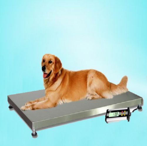 150 kg Vet Veterinary Animal Greyhound Dog Scale Floor Scales 900 * 600 bi