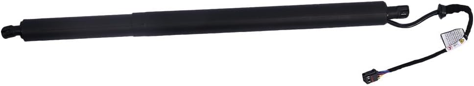 ya 4 8.10 New Lifter Assy-Tall Gate Left EMS for Hyundai Sanfa Fe 2019-2020 81831-S1100