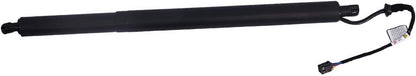 ya 4 8.10 New Lifter Assy-Tall Gate Left EMS for Hyundai Sanfa Fe 2019-2020 81831-S1100