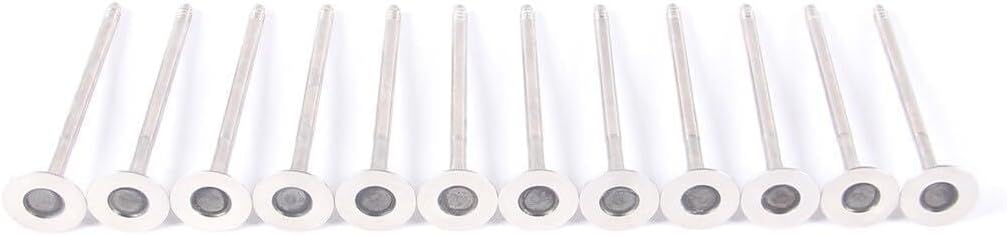 ya 6 8.24 baidi 2.5 valve kit for BMW 325i 525i X3 Z4 2.5si WG1090052