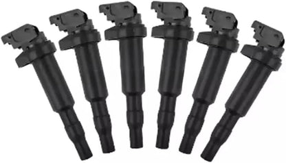 ya 5 8.10 12137594937 6pcs OE ignition coil for BMW 335i 535i 640i 740i X5 X6 Z4 3.0L