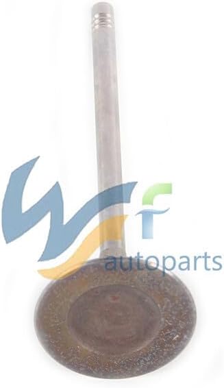 ya 6 8.24 baidi 2.0T 16* Intake and Valves for BMW X3 X4 for Mini Cooper 11348621264