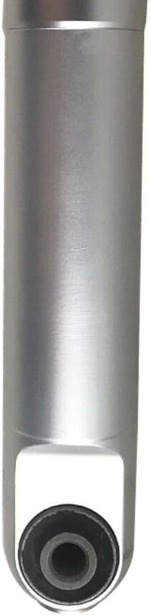 ya 10 9.16 baidi Rear shock absorber for for Maserati Quattroporte M139 Sport GT Skyhook 248256 06-11-
