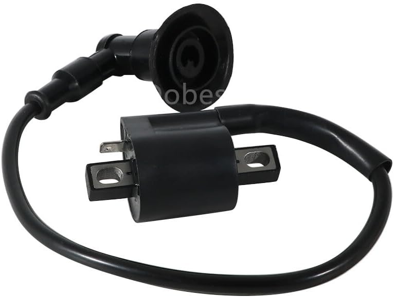 ya 13 9.15 baidi Ignition Coil For E-Ton ATV Tornado 50 ATV Draco 50