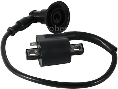 ya 13 9.15 baidi Ignition Coil For SMC REX Quad 50 ATV Urban 50 Ares 50 for Ram for Mini 50 62310-NAF-00