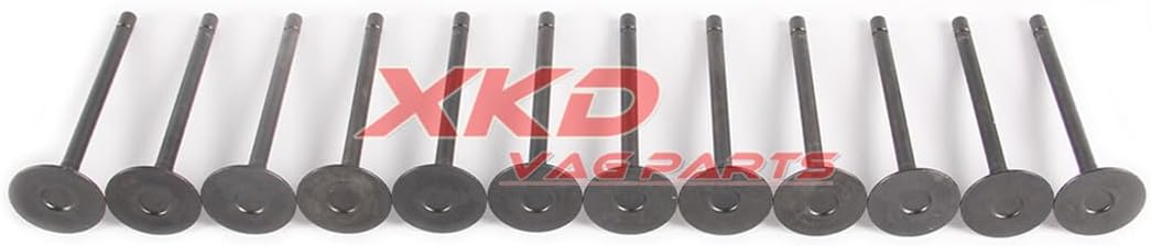 ya 10 9.16 baidi 3.6L Valve & Steam Oil Seal Kit for Chevrolet Impala Equinox LFX LF1