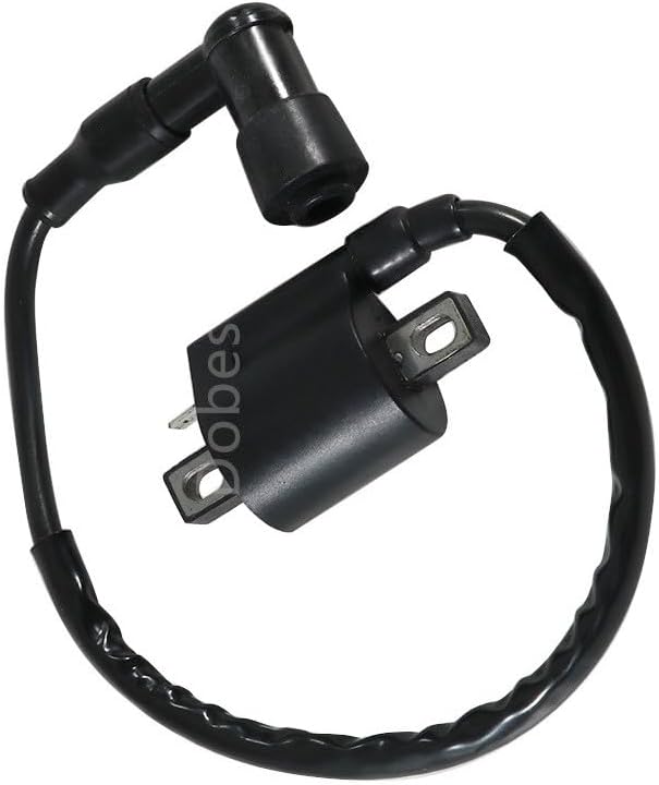 ya 13 9.15 baidi Ignition Coil for Yamaha YFM660 Grizzly 660 Metallic Edition 4X4 2002-2003