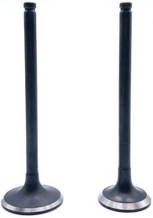 ya 10 9.16 baidi Intake Valve for Dodge for Ram 03-07