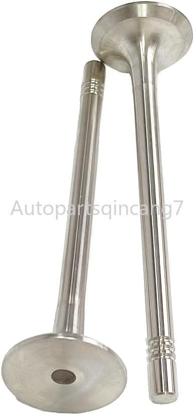 ya 10 9.16 baidi &Intake Valves Fit for VW for Golf for JETTA Pasast for Audi Q3 Q5 TT