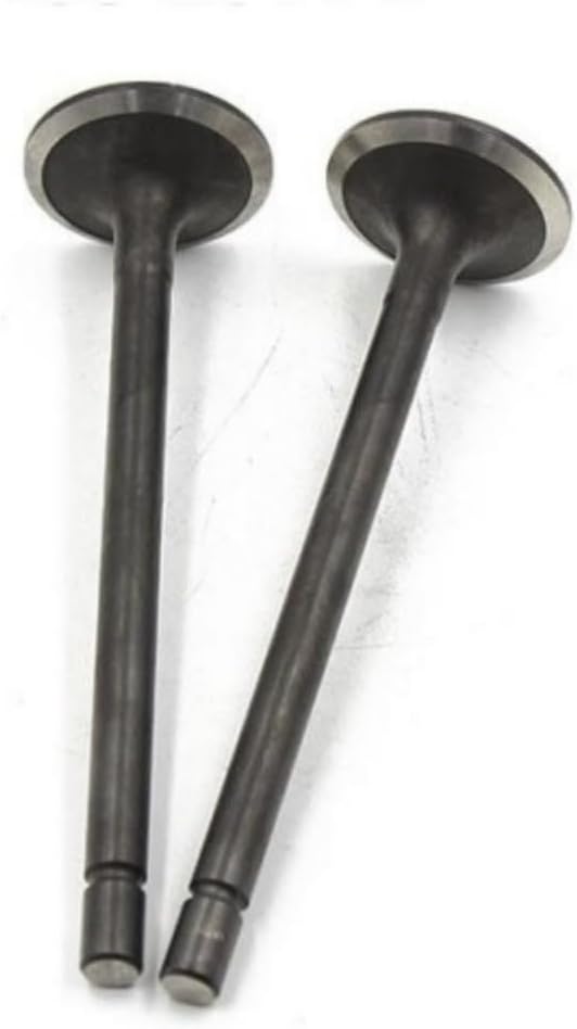 ya 10 9.16 baidi Intake Valves for Dodge Durango for Challenger for Charger 18-21