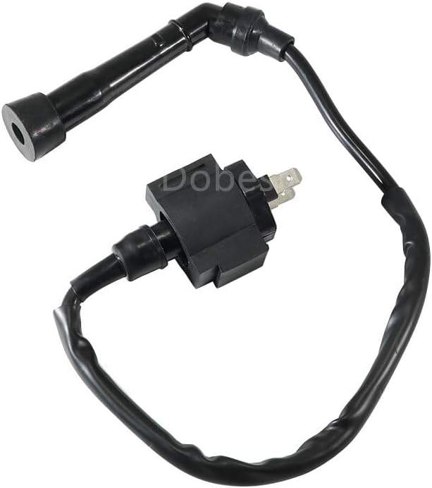 ya 13 9.15 baidi Ignition Coil For SMC Barossa for Ram 300/Barossa Quadzilla 250-300cc Barossa 250