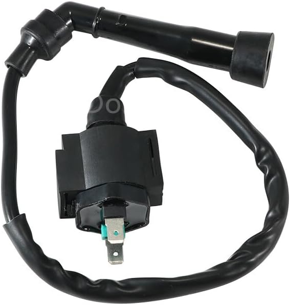 ya 13 9.15 baidi Ignition Coil For SMC Barossa for Ram 300/Barossa Quadzilla 250-300cc Barossa 250