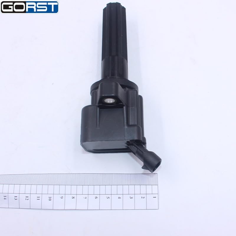 ya 4 8.24 baidi Ignition coil for Buick for Chevrolet for GMC for HUMMER for Isuzu Ascender for Saab 06-12 12596547