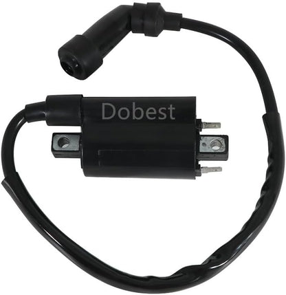 ya 13 9.15 baidi Ignition Controller Coil For SMC ATV Barossa Jumbo 300/301/302 for Ram 300 Razzer300