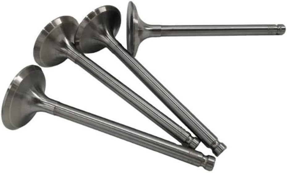 ya 10 9.16 baidi for Cadillac for Saturn Daewoo 98-02 Engine Intake Valve -