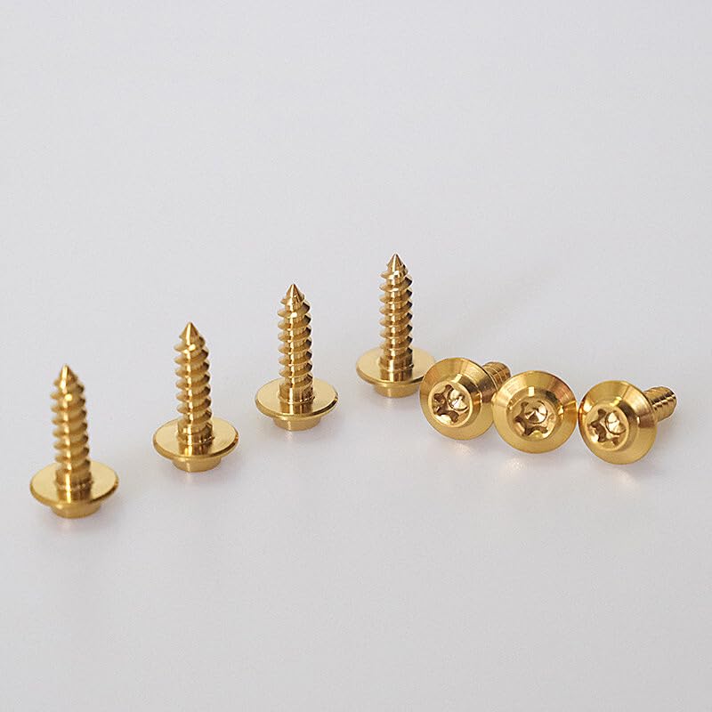 ya 16 10.20 baidi M4 M5 Titanium Self-Tapping Screws Umbrella Head Motorcycle Plate Ti Bolts