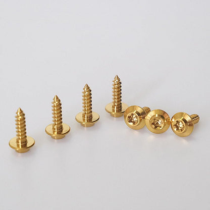 ya 16 10.20 baidi M4 M5 Titanium Self-Tapping Screws Umbrella Head Motorcycle Plate Ti Bolts