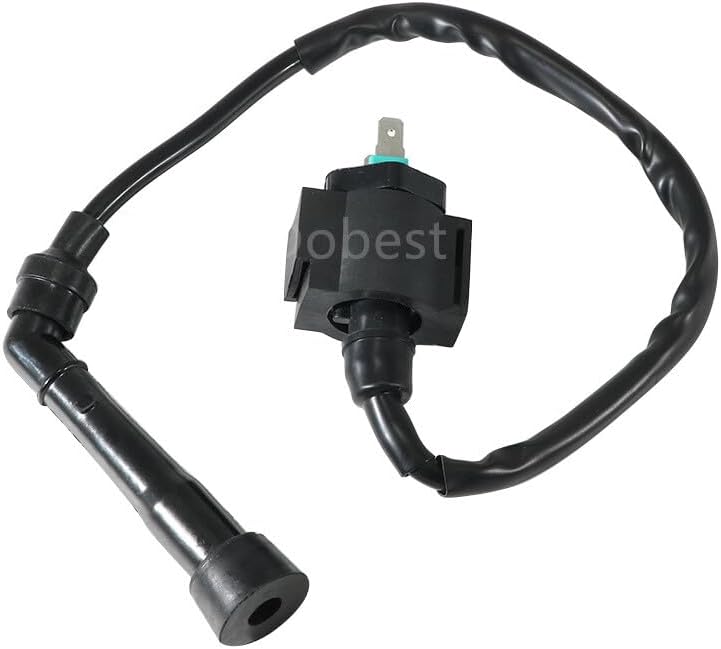 ya 13 9.15 baidi Ignition Coil For SMC Barossa for Ram 300/Barossa Quadzilla 250-300cc Barossa 250