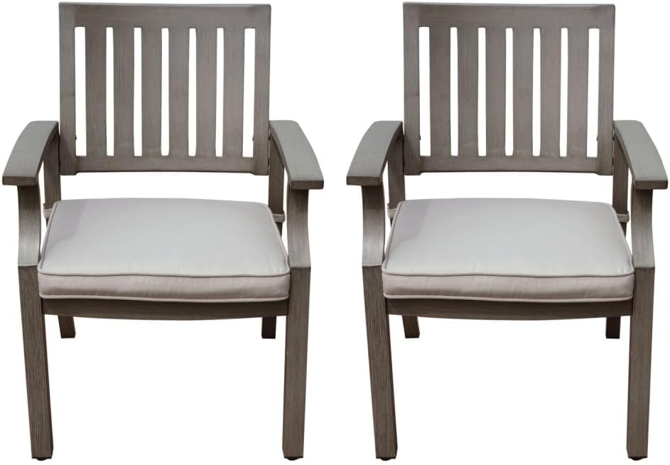 ya 28 10.13 baidi Aluminum Modern Dining Cushion (Set of 2), Gray