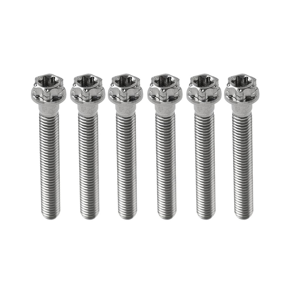 ya 6 8.24 baidi 6pcs Bolts Torx Head Flange Screws M6x55mm for Motorcycle Bike Silver