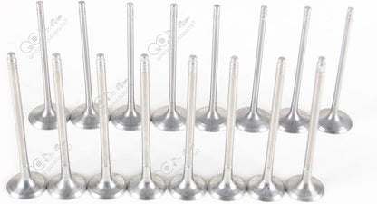 ya 10 9.16 baidi 16 intake and valves for BMW 2.0T 125i 220i 320i 11347583777 598273-