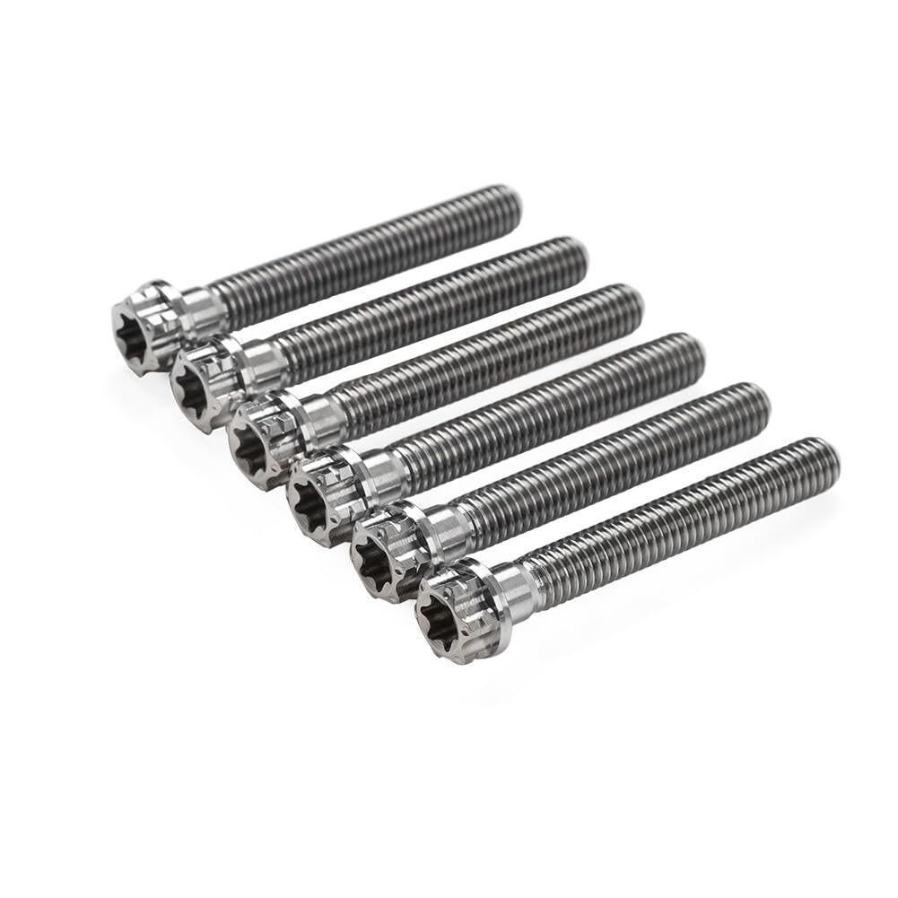 ya 6 8.24 baidi 6pcs Bolts Torx Head Flange Screws M6x45mm for Motorcycle Bike Silver