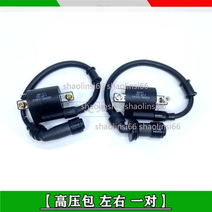 ya 5 8.24 baidi Motorcycle Lgnition Coil Voltage For Benelli BJ125-3E BJ125-3 125cc TNT 125 135