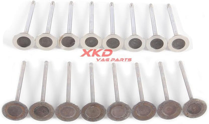 ya 10 9.16 baidi 2.0T 16* Intake & Valves Fit for BMW 3 series 5 series X3 X4 for Mini Cooper