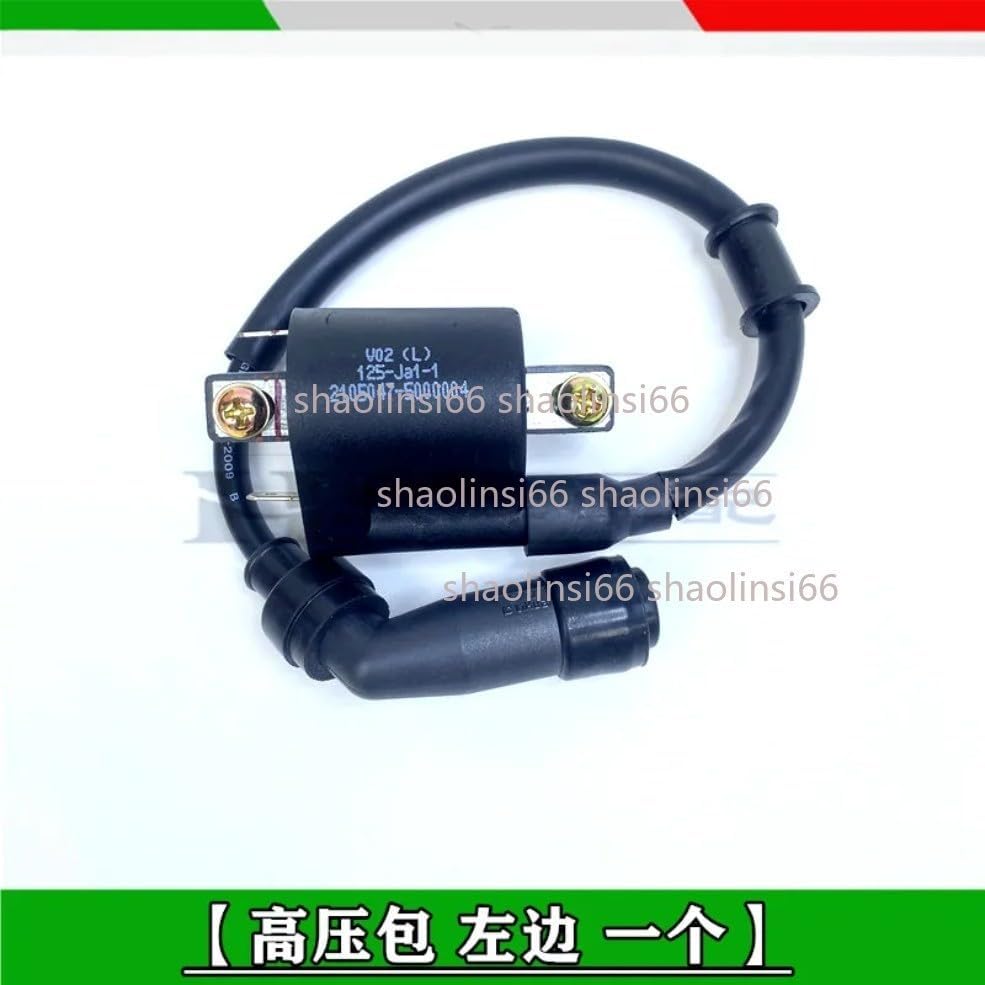 ya 5 8.24 baidi Motorcycle Lgnition Coil Voltage For Benelli BJ125-3E BJ125-3 125cc TNT 125 135