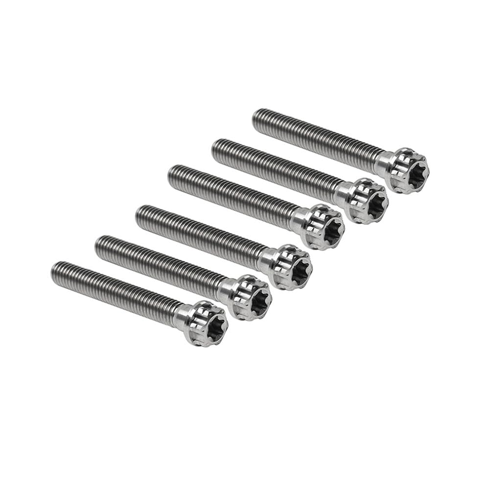ya 6 8.24 baidi 6pcs Bolts Torx Head Flange Screws M6x55mm for Motorcycle Bike Silver
