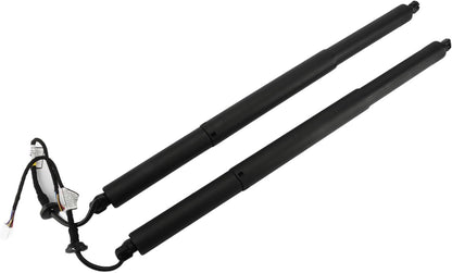 ya 10 9.16 baidi 2X Rear Tailgate Power Hatch Lift Support Strut Fits 2021-2023 for Toyota Highlander