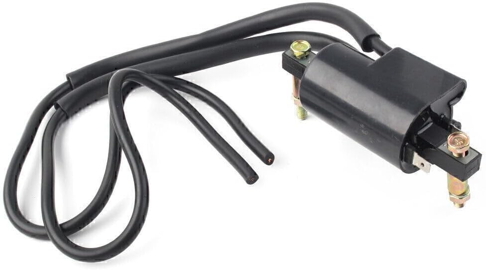 ya 4 8.10 Ignition Coil Dual Plug Wire for Honda CB160 CL160 CB175 CL175 CL200 30400306672