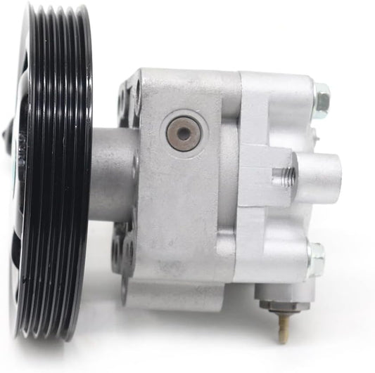 ya 4 8.10 1X 4910065J00 for Suzuki Grand Vitara II JT 2.0 Power Steering Pump 49100-65J00