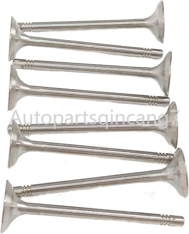 ya 10 9.16 baidi &Intake Valves Fit for VW for Golf for JETTA Pasast for Audi Q3 Q5 TT