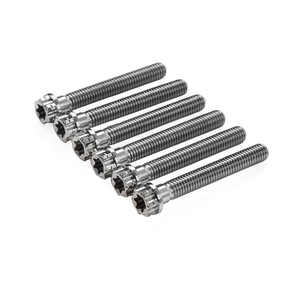 ya 6 8.24 baidi 6pcs Bolts Torx Head Flange Screws M6x55mm for Motorcycle Bike Silver