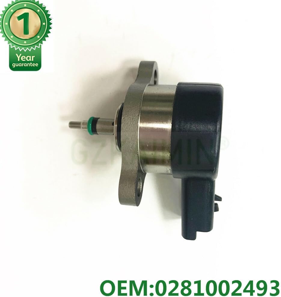 ya 2 8.15 Common rail fuel pump pressure 0281002493 for Citroen for Peugeot 2.0 HDi