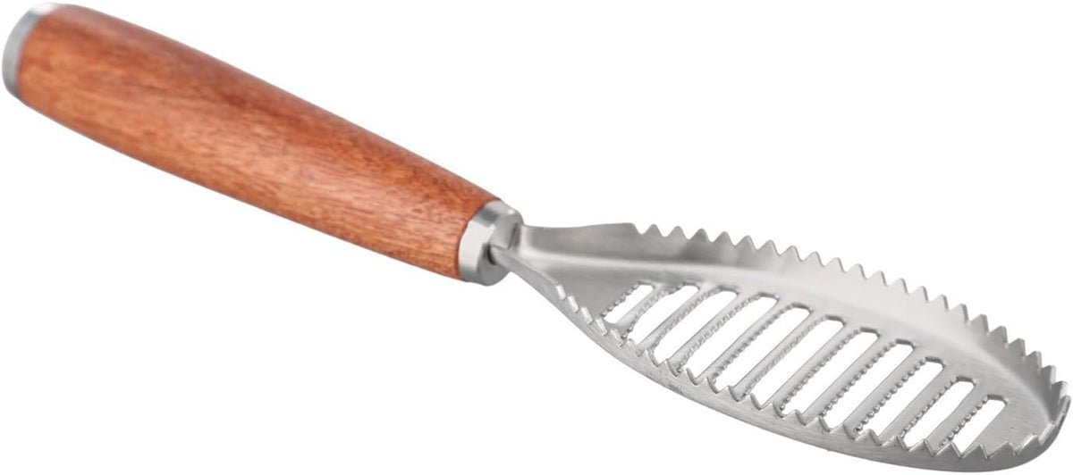 ya 14 9.20 baidi For Fish Cleaning Fish Skin Brush Non-slip Handle Splatter-proof Design-1