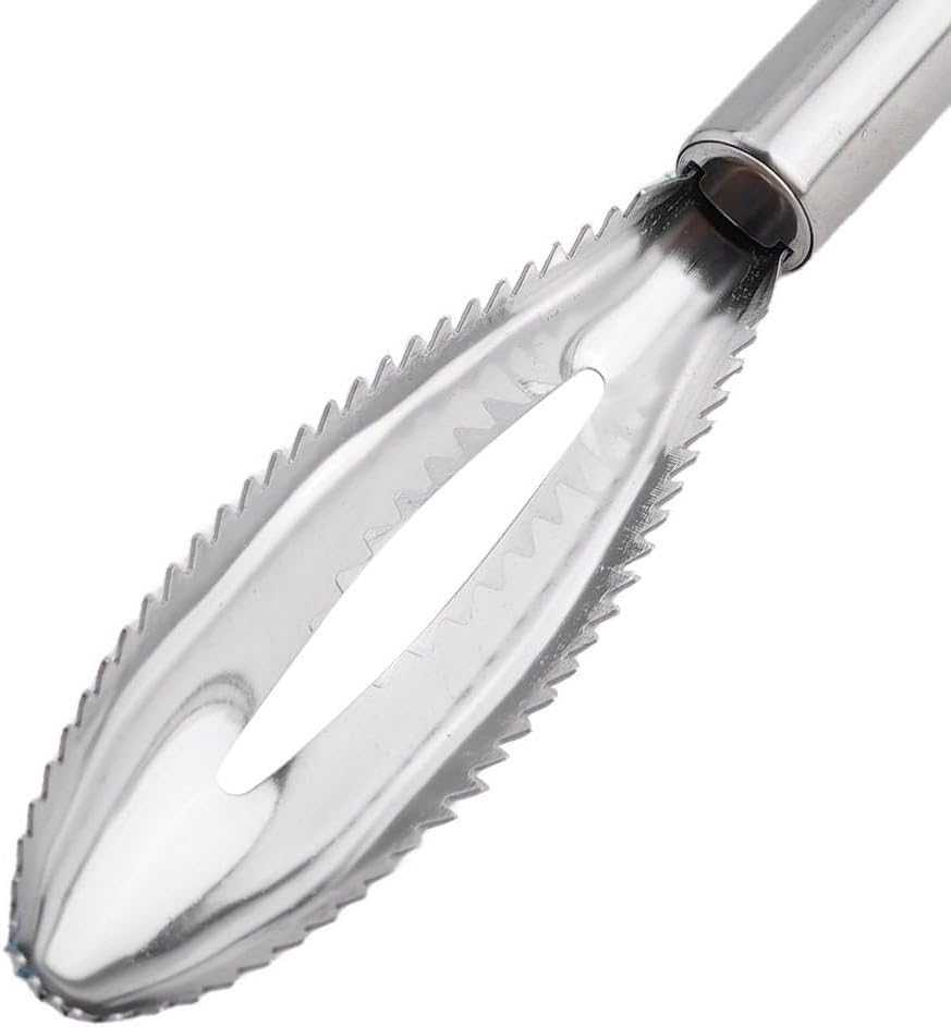 ya 14 9.20 baidi 1X Fish Scale Scraping Stainless Scaler For Fish Cleaning Tools Fish Skin Brush-1