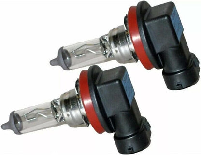 ya 14 9.20 zhengce Reliable perfor for MAN ce H11 12V 100W halogen bulb suitable for car headl-1