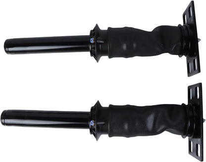 ya 10 9.16 baidi 2* Air Suspension Strut Assembly For International Prostar 08-2017 3595977C95